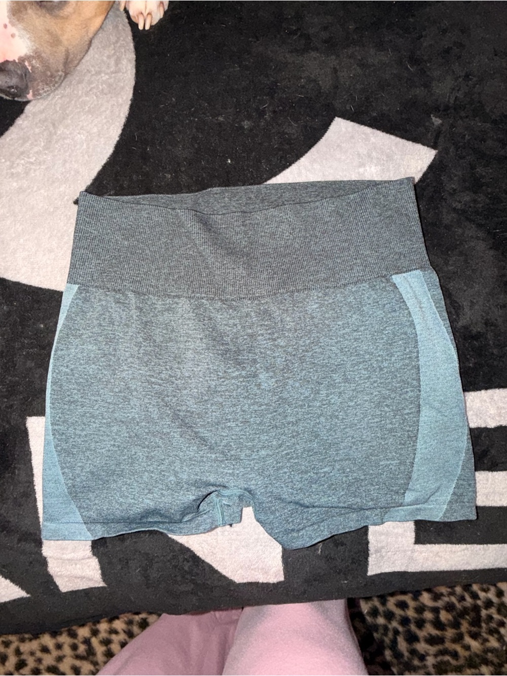 Seamless High-Waist Athletic Shorts in Teal and Heathered Charcoal